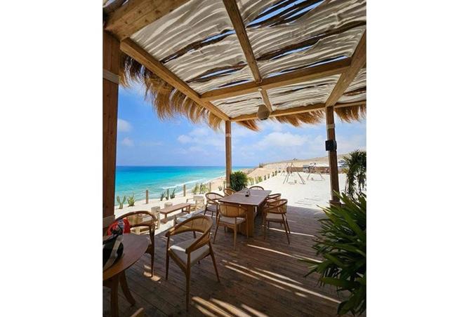 8358636 - Property Image 2