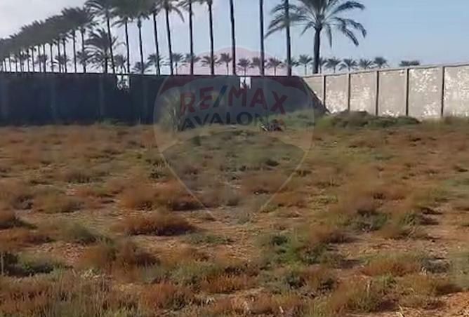 8432806 - Property Image 2