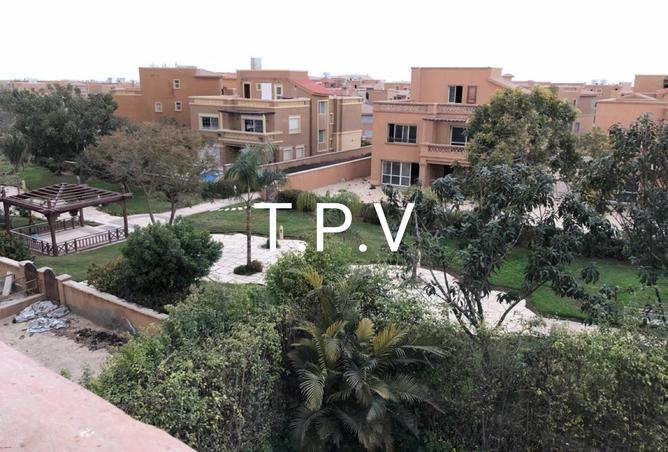 8323668 - Property Image 3