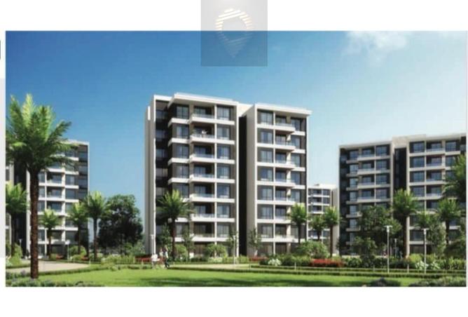 8184598 - Property Image 3