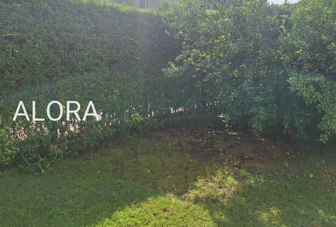 8551961 - Property Image 3