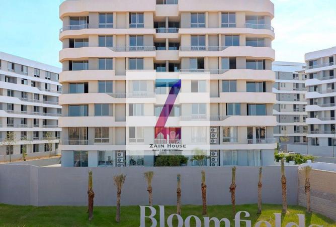 8528623 - Property Image 2