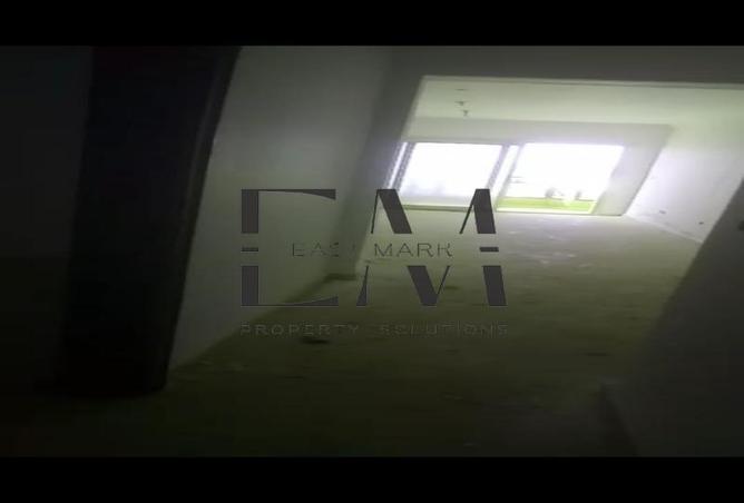 8233127 - Property Image 3