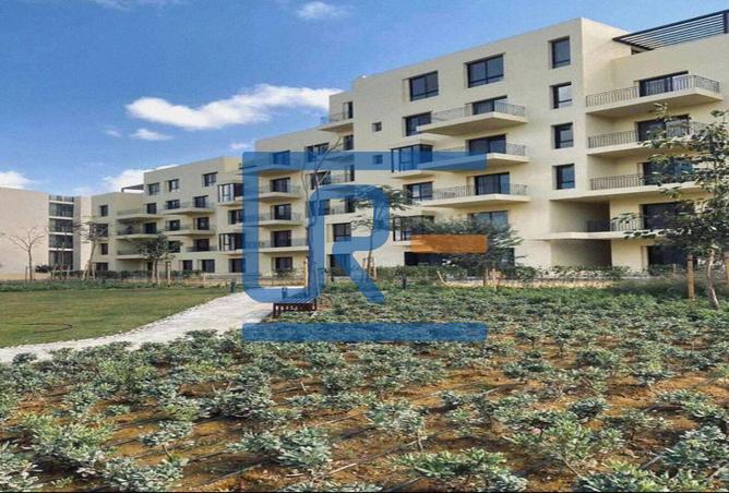 8081905 - Property Image 3