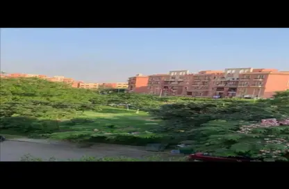 Apartment - 2 Bedrooms - 1 Bathroom for rent in Rawdat Zayed - 12th District - Sheikh Zayed City - Giza
