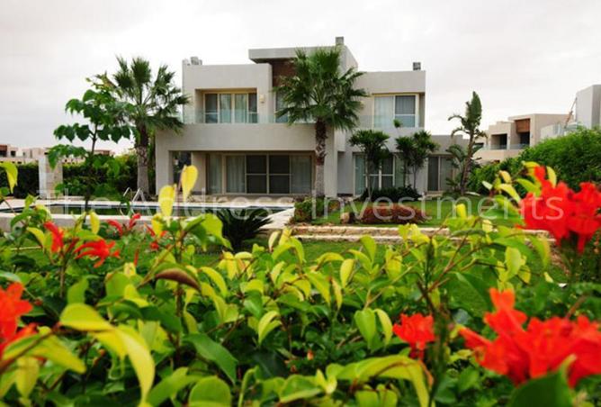 7895575 - صورة العقار 3