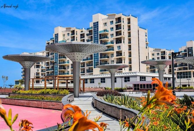 7929842 - صورة العقار 2