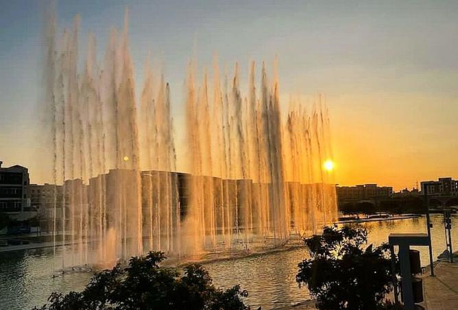 8020974 - صورة العقار 3