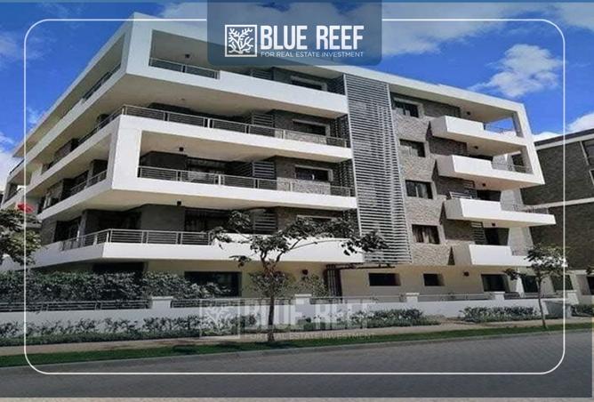 8412574 - صورة العقار 2