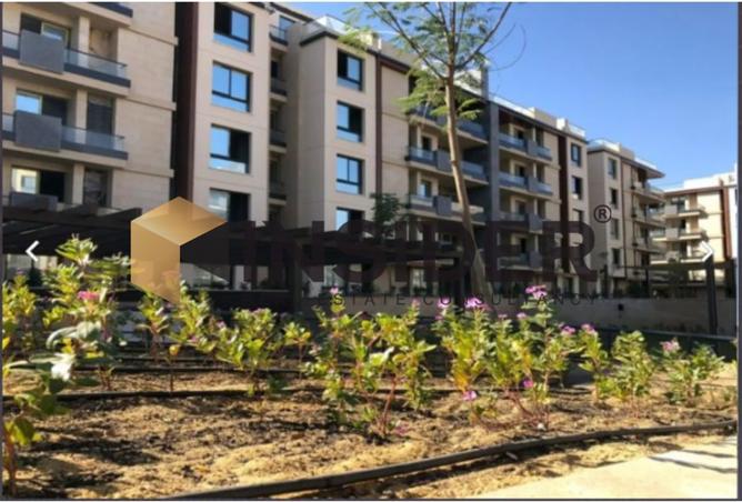 8315234 - Property Image 3