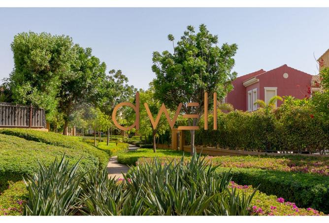 8251973 - Property Image 3