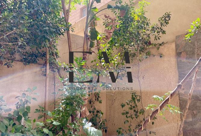 8316741 - Property Image 3