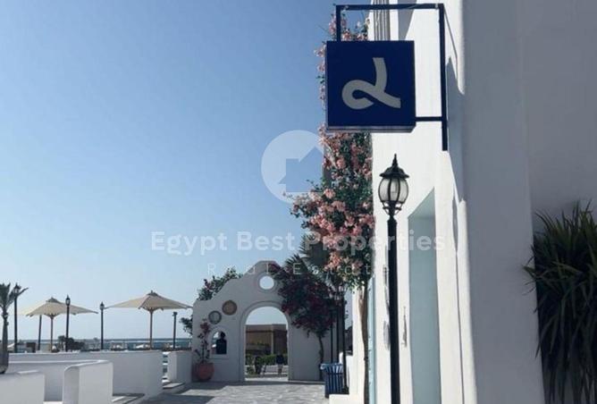 7905228 - Property Image 3