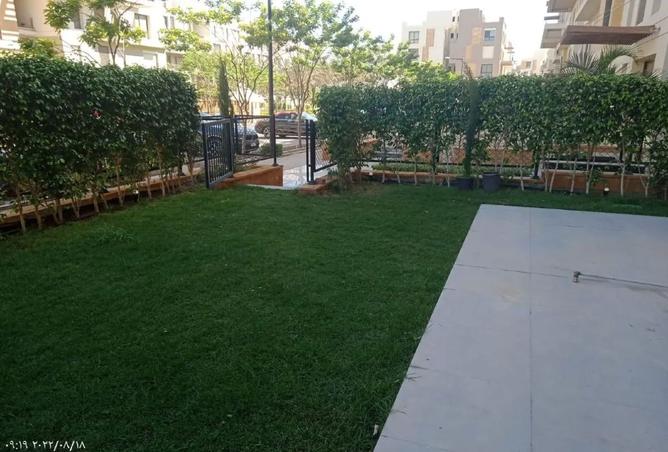 7967094 - صورة العقار 3