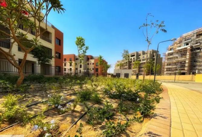 8505271 - صورة العقار 3