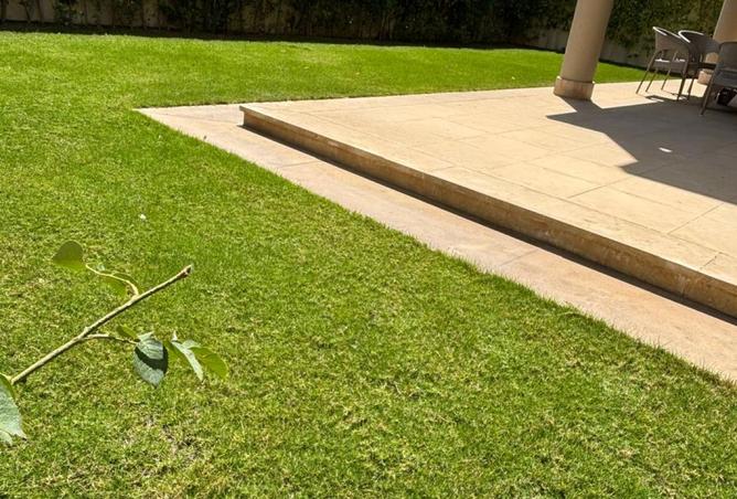 8427215 - Property Image 3