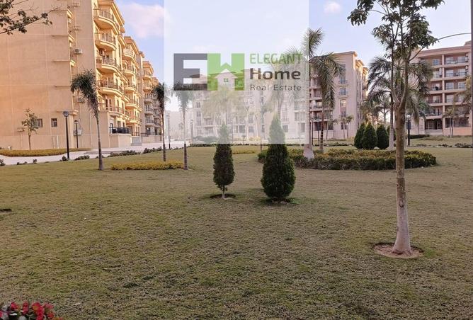 8040266 - Property Image 2