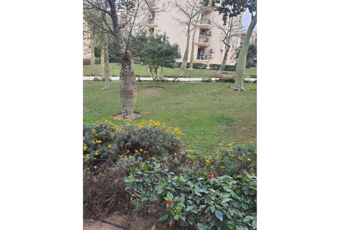 8021752 - صورة العقار 2