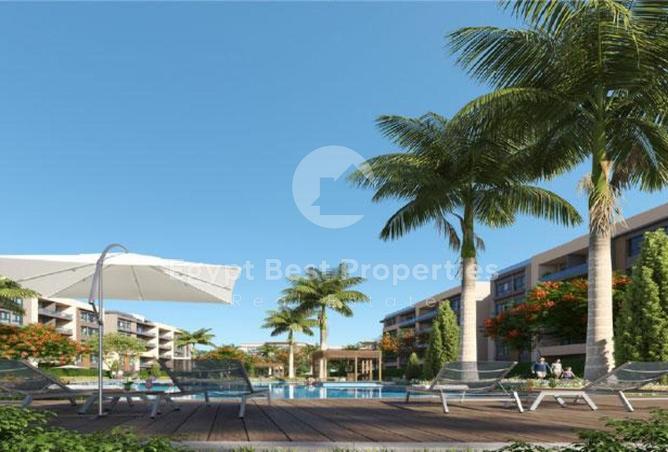 8151903 - Property Image 3