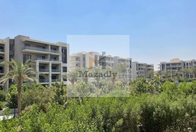 7965985 - صورة العقار 2