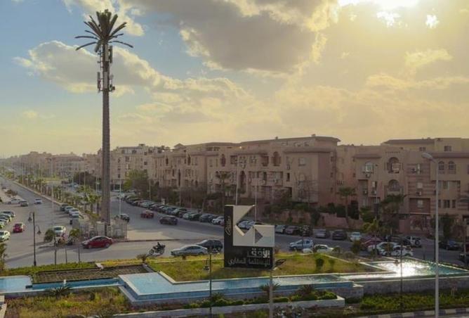 8498882 - Property Image 3