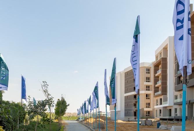 8295727 - Property Image 3