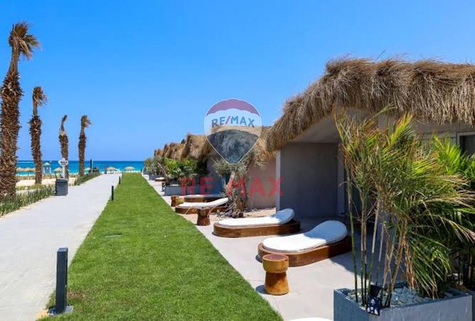 8164863 - صورة العقار 3