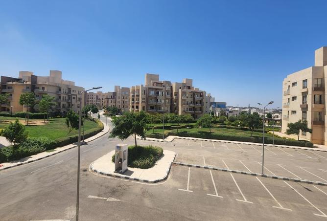 7996627 - Property Image 3