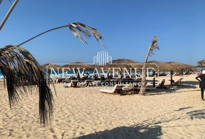 8298777 - صورة العقار 2