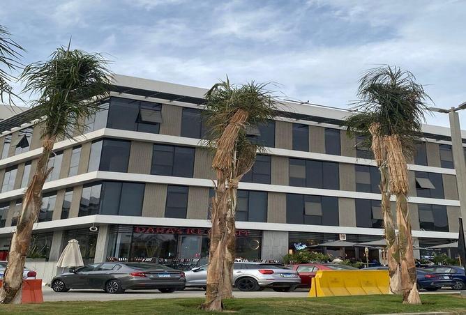 8469246 - صورة العقار 2