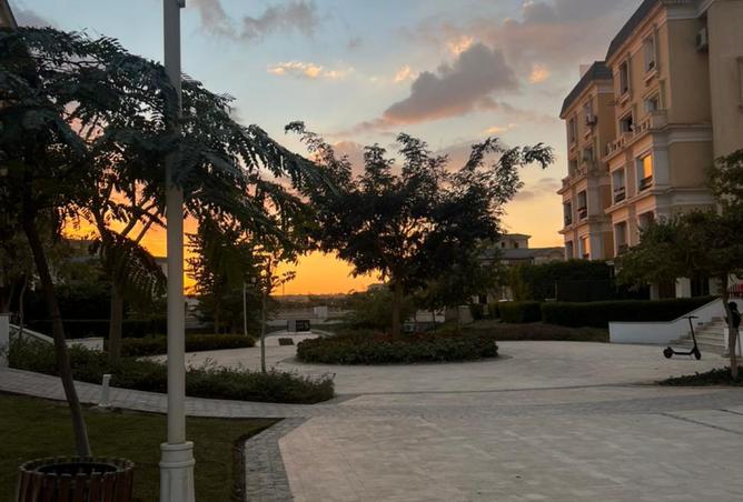 8555525 - Property Image 2