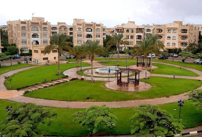 7963319 - صورة العقار 2