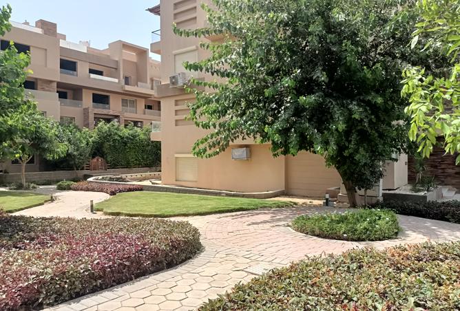 7981654 - Property Image 3