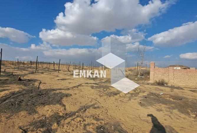 8446117 - Property Image 2