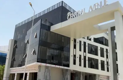 Clinic - Studio - 2 Bathrooms for sale in Central Avenue - 2nd District - Sheikh Zayed City - Giza
