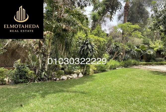 8065310 - صورة العقار 2