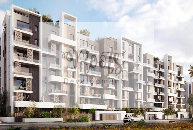 8092307 - Property Image 3