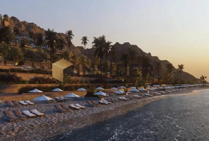 8279311 - Property Image 3