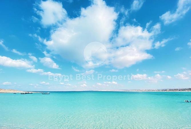 7898745 - صورة العقار 2