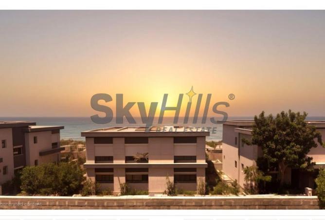 8527889 - Property Image 2