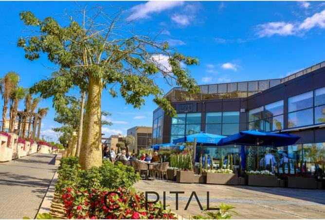 8243536 - صورة العقار 3