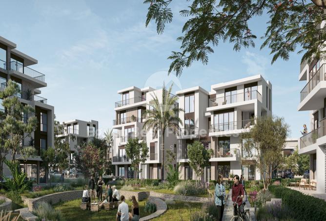 7978326 - Property Image 3