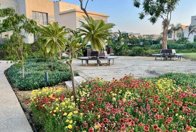 8529546 - صورة العقار 2