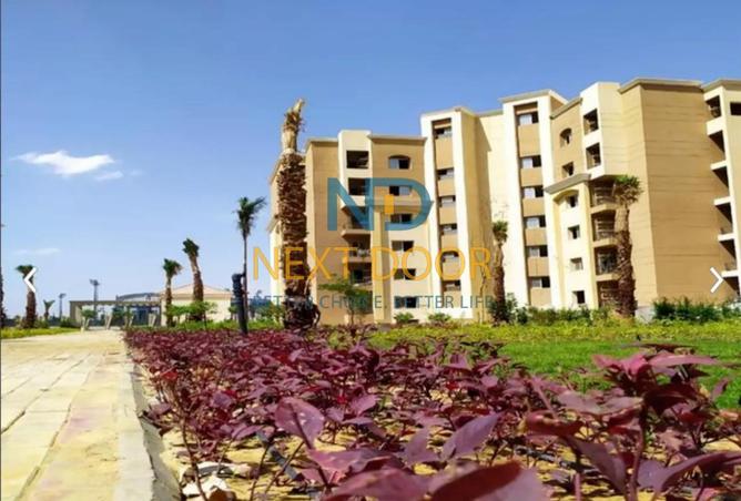 7943622 - صورة العقار 2