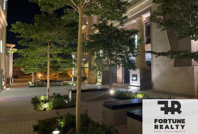 8352593 - Property Image 3