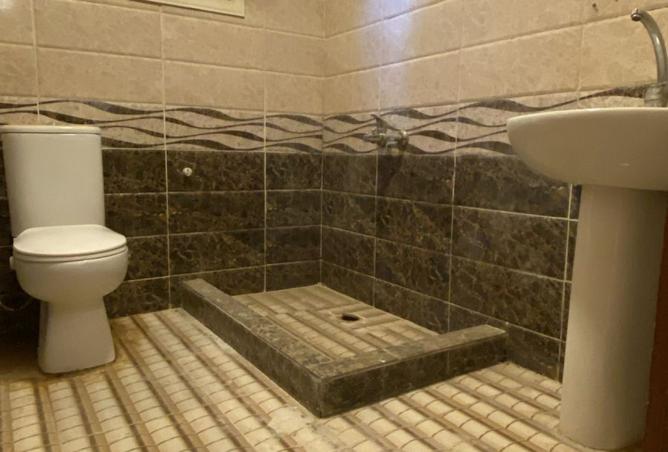 8013686 - Property Image 3
