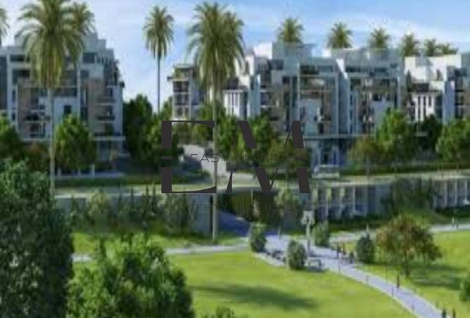 8186087 - Property Image 3