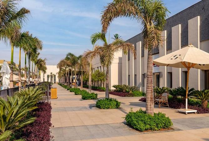 8192534 - صورة العقار 2