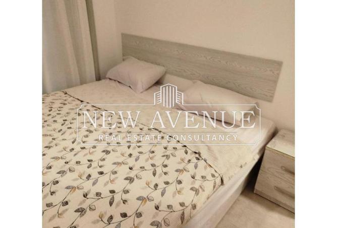 8196417 - Property Image 2