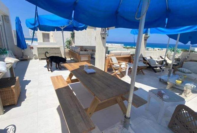 8006924 - صورة العقار 3